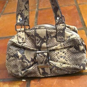 Snake Skin Bag